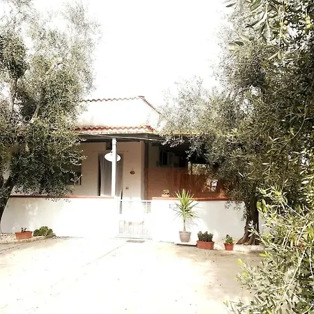 L'uliveto Di Nonno Piero